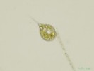 254. Phacus sp.
plankton eutrofnch vod
Autor: Petr Haler
Kategorie: Algologie