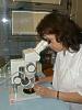 153. U mikroskopu
Boena Navrtilov se vnuje zejmna tkovm kulturm rostlin
Autor: Pavel Havrnek
Kategorie: Botanici a jin lid